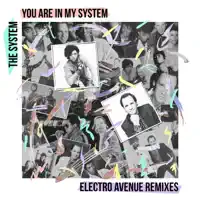 You Are In My System