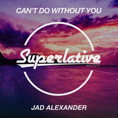 Can't Do Without You - Single