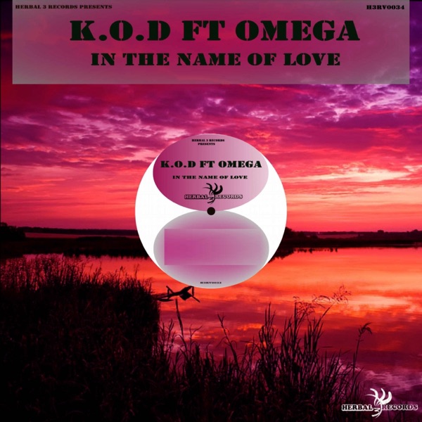 In the Name of Love (feat. Omega) - Single