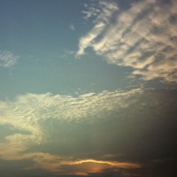 ในความต่าง - Single - Bert