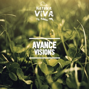 Visions - Single