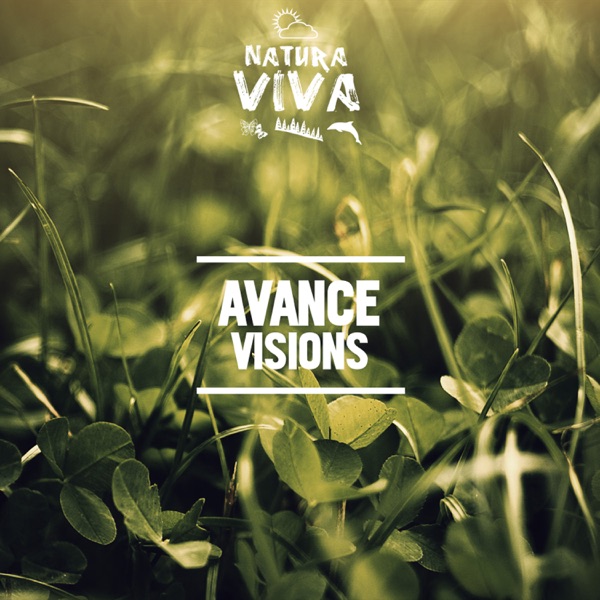 Visions - Single