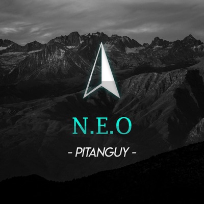 N. E. O Pitanguy - Single