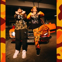 Brincar de Hit - Single - Zapi & Mc Davi