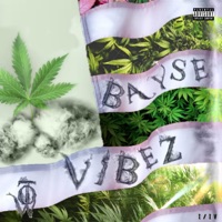 Vibez - Bayse