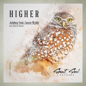 Higher (feat. Cassie Wylde) - Single