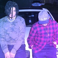 Vertigo (feat. Kalvonix) - Single - Foxtale