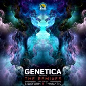 Definition of Reality (Genetica Remix) artwork