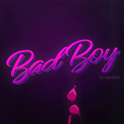 Bad Boy - Single - Shaman