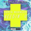 Needin' U (Alt Original Remix) cover art