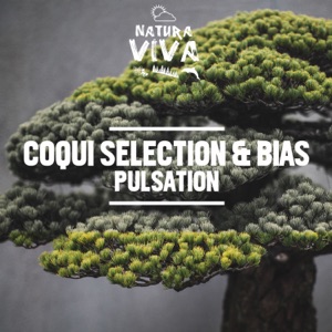 Pulsation - Single