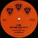 The Loni Gamble Band - I Like the Way You Do It (feat. Lisa Warrington)