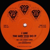 The Loni Gamble Band - I Like the Way You Do It (feat. Lisa Warrington)