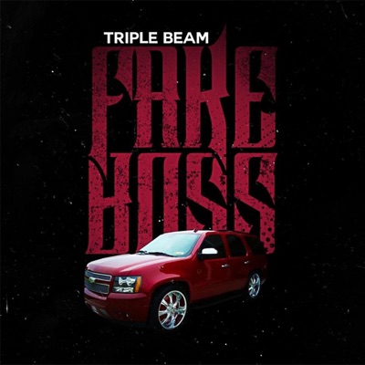 Fake Boss (You Don't Kno What We Go Thru) - Single