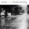 Colin Vallon, Patrice Moret & Julian Sartorius - Rruga