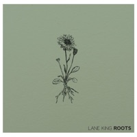 Roots - Lane King