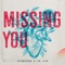 Missing You - Diskover & Le Dib lyrics