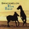 Press Roll - SMACKMELON lyrics