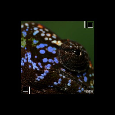 Camaleón - Single