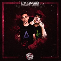 Triggasoid - Single - Triggabyte & Virusoid