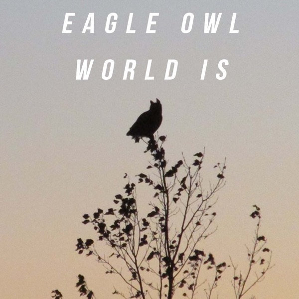 The World Is