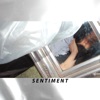 Sentiment - Single