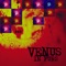 Venus in Furs artwork