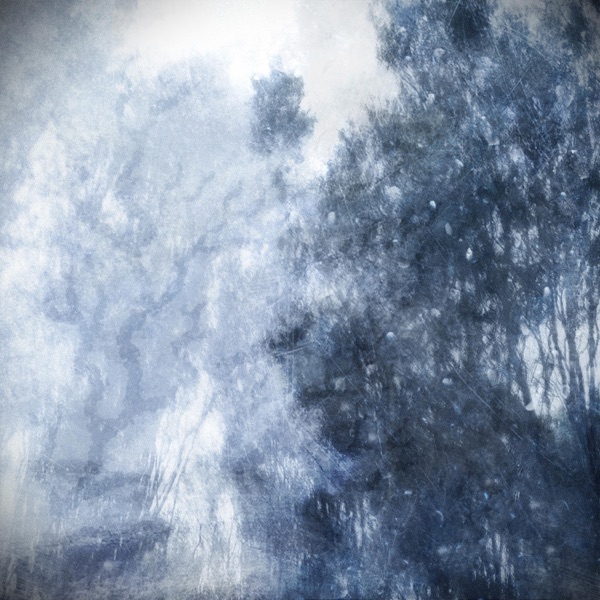 Fleeting Forest - EP