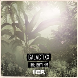 The Rhythm - Single