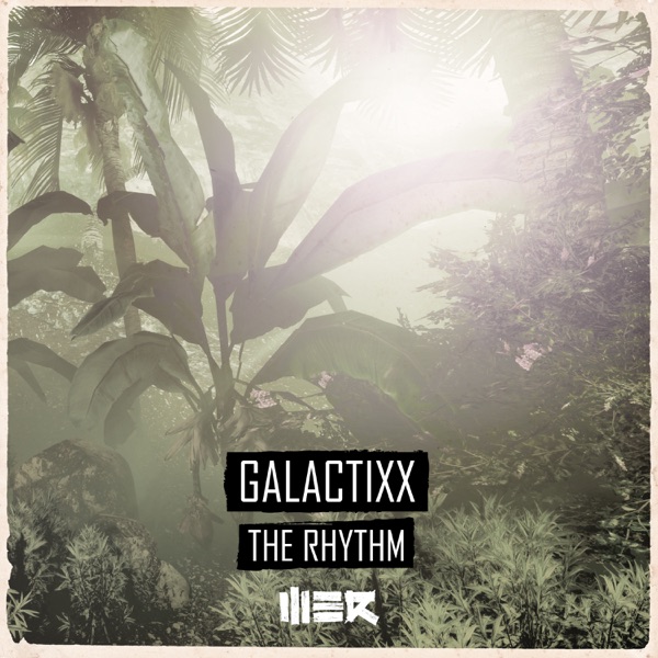 The Rhythm - Single
