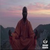 Travels (feat. Denmark Vessey) - Single