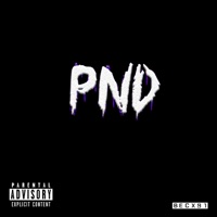 PND - Single - BECX91