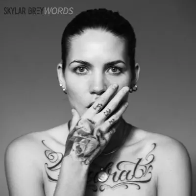 Words - Single - Skylar Grey