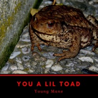 You a Lil Toad - Single - Young Mane