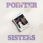 The Pointer Sisters - Lonely Gal