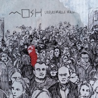 Unbreakable Wall - Mosh