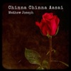 Mathew Joseph - Chinna Chinna Aasai