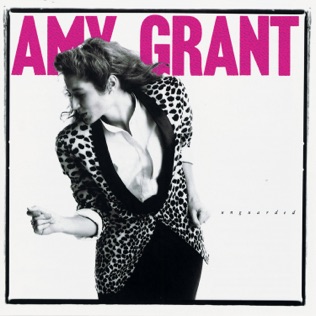 Amy Grant Fight