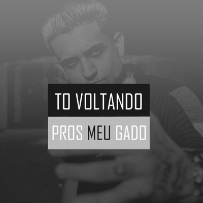 To Voltando Pros Meus Gado (feat. MC Rafa VM) - Single