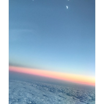 Floral Freeway - Single