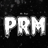 Prm - Single - Mr. Rage
