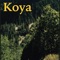 Iota - Koya lyrics