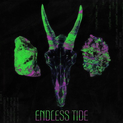 Endless Tide (feat. Spirit Bomb) - Single