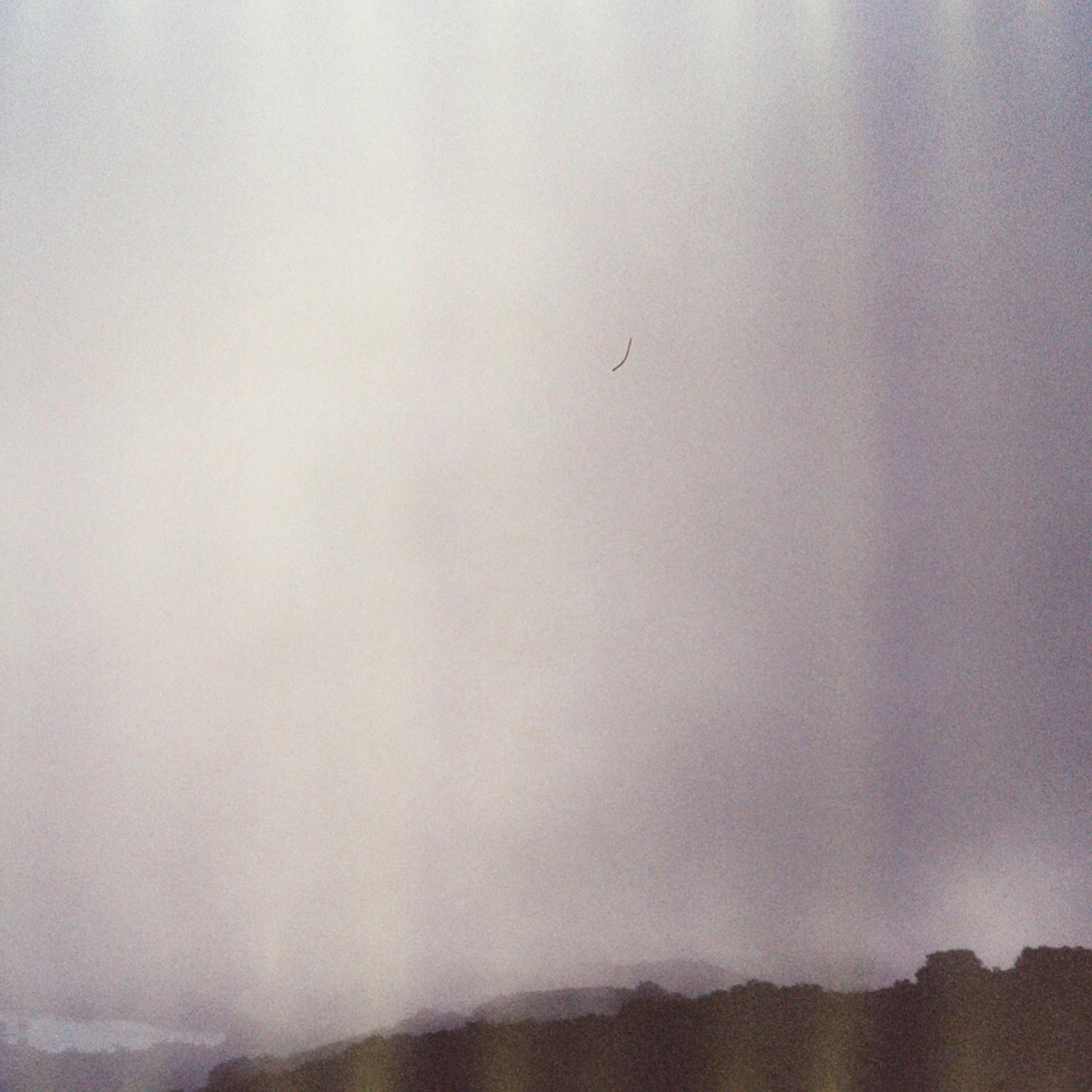 Full Blossom of the Evening