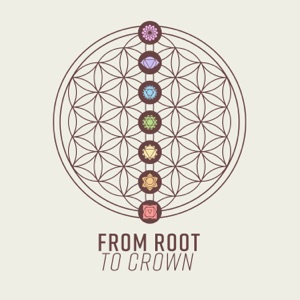 From Root to Crown: Chakra Cleansing, Opening the Energy Channels in Your Body