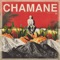 Mr. Cha (feat. OLNL) - Chamane lyrics
