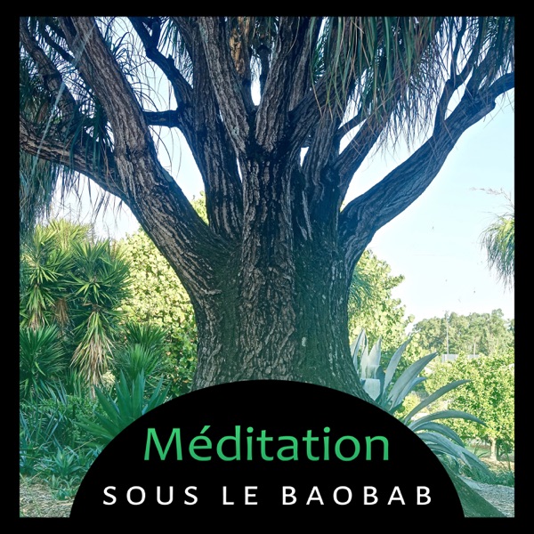 Méditation sous le baobab - Musique spirituelle pour l'harmonie intérieure et l'équilibre, Reiki, Yoga, ouverture de chakra
