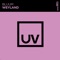 Weyland (Extended Mix) - Bluum lyrics
