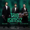 Trio Isimsiz - Piano Trio No. 5 in D Major Op. 70 No. 1 "Ghost": II. Largo assai ed espressivo