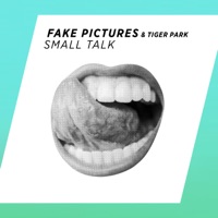 Small Talk - Single - Fake Pictures & Tiger Park